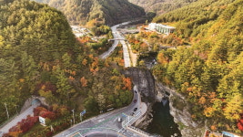 나랑 태백에 별 보러 가지 않을래? 고원도시 태백의 신비로운 명소들