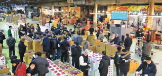 대구농수산물 도매시장, 첨단 물류허브로 변신