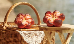 라한호텔, 경주 청년상점·벚꽃 앙금빵·목포 여행 패키지·전주 비빔빙수…지역을 빛내는 호텔