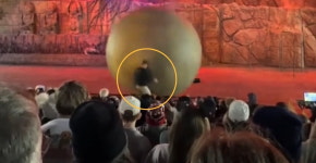 180㎏ 고무공 막은 디즈니 직원…공연 객석 어린이들 살렸다 [영상]