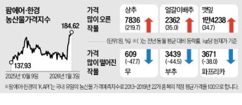 장보러 가기 겁나…강추위에 과일·채소값 껑충