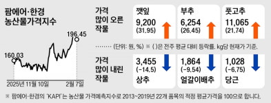 삼겹살과 환상의 짝꿍 상추 어쩌나…양배추에 싸먹을 판