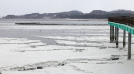 화성 궁평항에 포탄 군경 출동…조명탄으로 확인