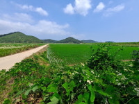 [속보] 당정 