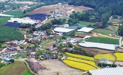 경기 안성 인처골마을, 감자·매실 수확한 뒤 서운산 레일썰매로