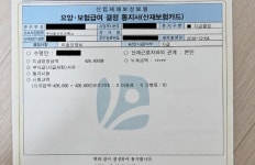 헤이지니 전 직원 