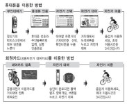 청계천서 자전거 공짜로 타세요