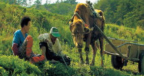 작은영화 ‘워낭소리’ 훈훈한 큰 기부
