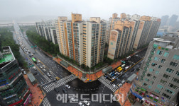 [‘길’투자내비게이션]볕드는 ‘강서 3총사’ 입질 활발