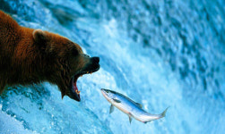 [생생코스닥]달아오르는 SPAC…두근거리는 주식시장