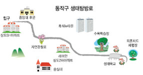 잣나무·다람쥐…뒷동산의 정겨움 그대로