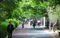 도심 아파트 숲속서 찾은 ‘초록색 보석’