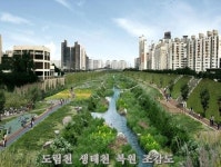 싱글족이 침체된 부동산 시장을 움직인다.