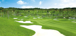 <비전코리아>명품코스 ‘Q네트워크’ 구축 가속화