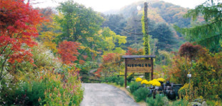 서서히 달아 쉬 식지않는…수목원의 ‘붉은사랑’