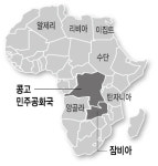 <글로벌 자원전쟁>“철 생산에 필수”…구리·코발트 중국 선점속 포스코 가세