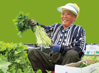 텃밭