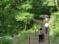 북한산·신정산 휠체어 타고도 오른다