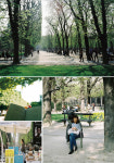 April In Paris