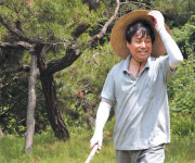 화엄에서 海印으로, 도종환