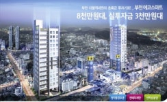 대치동 김사장이 투자하는 곳은?