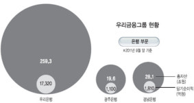 <위기를 기회로 … 한국금융그룹의 글로벌 생존전략> 카드분사·생보사 M&A…非은행 부문도‘1위 프로젝트’