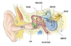 “자기야, 사랑해~” “뭐, 사망해?”…당신도 혹시 사오정?