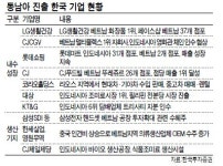 (주)엘지생활건강롯데마트제주점 | 롯데마트 · LG생활건강 · 대상…親동남아 기업에 답있다