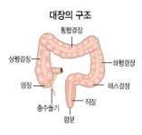 <삼성서울병원과 함께하는 생생건강 365> “50세 이후엔 5년마다 대장내시경 검사를”