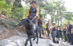 관악산 인명구조훈련