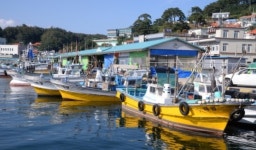 <이야기가 있는 길을 찾아서…길을 통한 문화 창조 · 발전 프로젝트> 관동별곡 8백리길