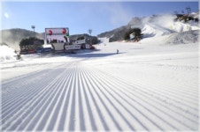 2월, 최고의 설질로 다시 태어난 ‘웰리힐리스노우파크’