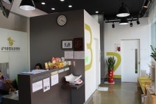 마포동물병원 반려동물의 심장병 초기증상은 마른기침