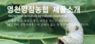 남성에 좋은 누에! 당뇨에 고혈압까지?