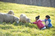 박정희 · 김춘삼 · 동막골 추억 어린 ‘하늘목장’ 40년만에 공개