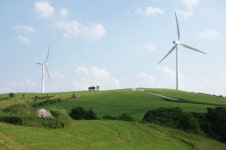 박정희 · 김춘삼 · 동막골 추억 어린 ‘하늘목장’ 40년만에 공개