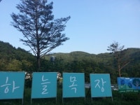 박정희 · 김춘삼 · 동막골 추억 어린 ‘하늘목장’ 40년만에 공개