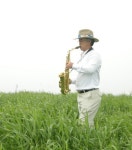 구름인 양 거닐다, 해무에 젖소