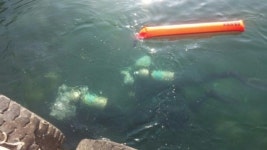 국립 영덕청소년해양환경체험센터, 창포항 정화활동 가져