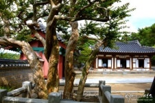 [천천히 걷는 감성여행] 강릉 오죽헌②--신사임당의 효심ㆍ율곡의 훈계에 정신이 ‘번쩍’