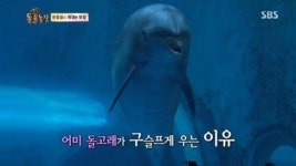  일요일 아침을 깨우는 익숙함…장수에는 이유가 있다