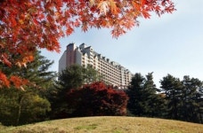 파인리조트, 단풍 패키지 & 주중 2만원 가족골프 런칭