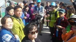 홍천 귀농귀촌희망자들, 내면 은행나무숲 일대에서 탐방행사