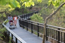 유모차 끌고 관악산을 오르는 사람들…1.3km 무장애숲길 인기