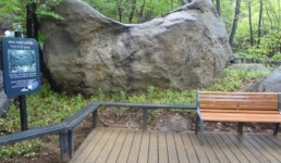 유모차 끌고 관악산을 오르는 사람들…1.3km 무장애숲길 인기