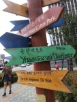 <영리포트> ‘동대문 실크로드’광희동 커민씨앗香