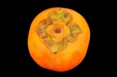 우리가족 면역력 높이는 ‘슈퍼푸드’