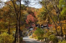 수험생들을 위한 힐링여행, 리솜포레스트 리조트 특별회원모집