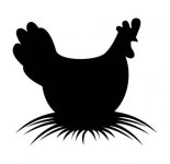 꿩대신 닭?…유망지역 주변 분양 봇물