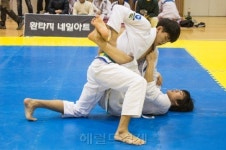 추위 녹인 주짓수 열기…13회 대구주짓수대회